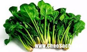 Cải bó xôi là một trong những loại rau xanh chứa hàm lượng dinh dưỡng cao