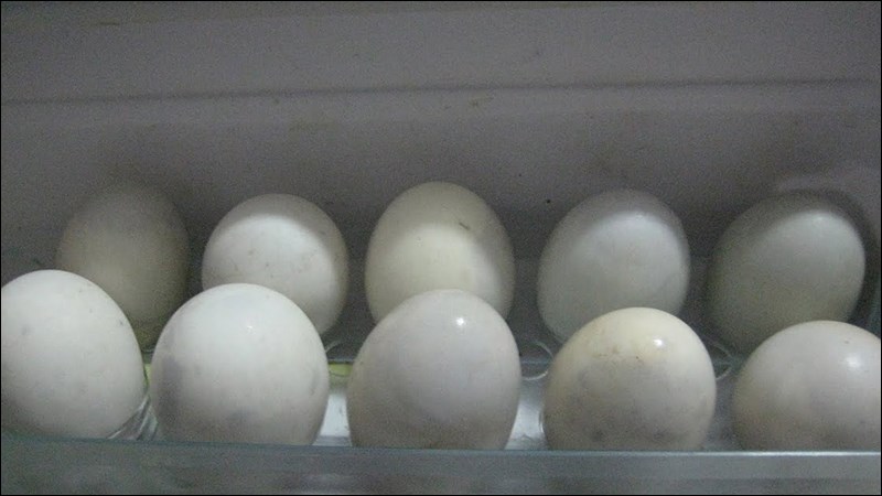Bảo quản trứng vịt lộn chín trong tủ lạnh